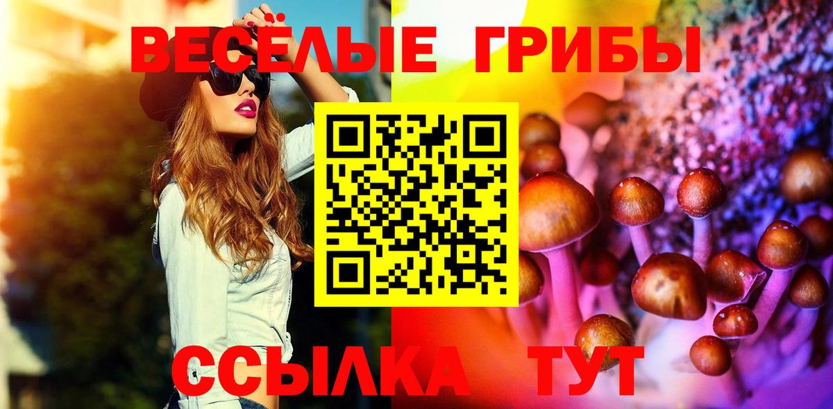 Ростов Великий  Галлюциногенные грибы Psilocybine cubensis  купить наркотики сайты  Вход с VPN 