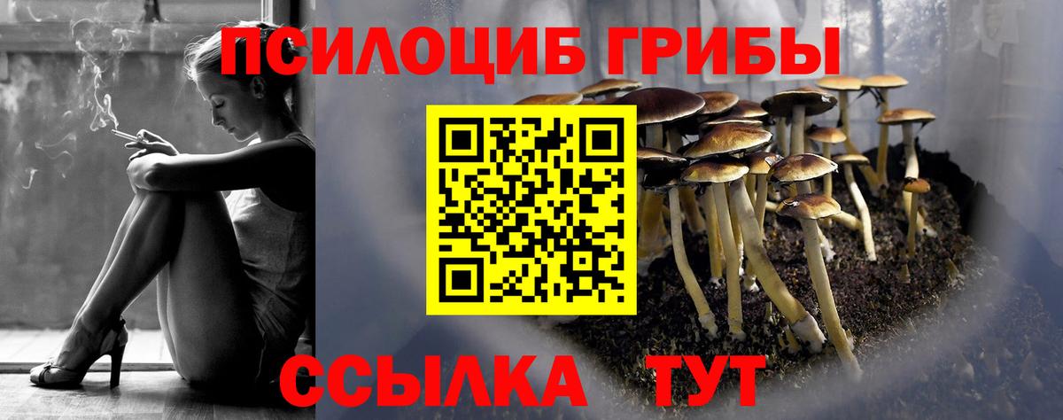 Псилоцибиновые грибы прущие грибы Ростов Великий